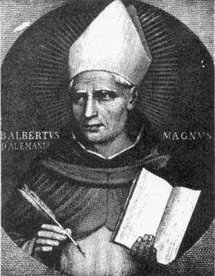 Albertus de Grote